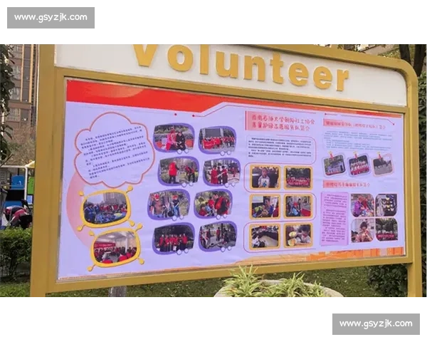 以社会创新引领协同发展构建可持续共治新生态体系实践路径探索